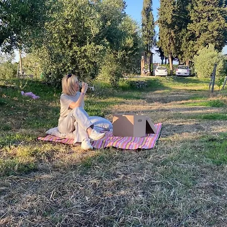 Bed & Breakfast Il Castagnolo Country San Gimignano